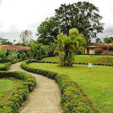 Termales Del Bosque & Hot Springs Hotel La Marina Екстериор снимка