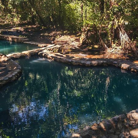 Termales Del Bosque & Hot Springs Hotel La Marina Екстериор снимка