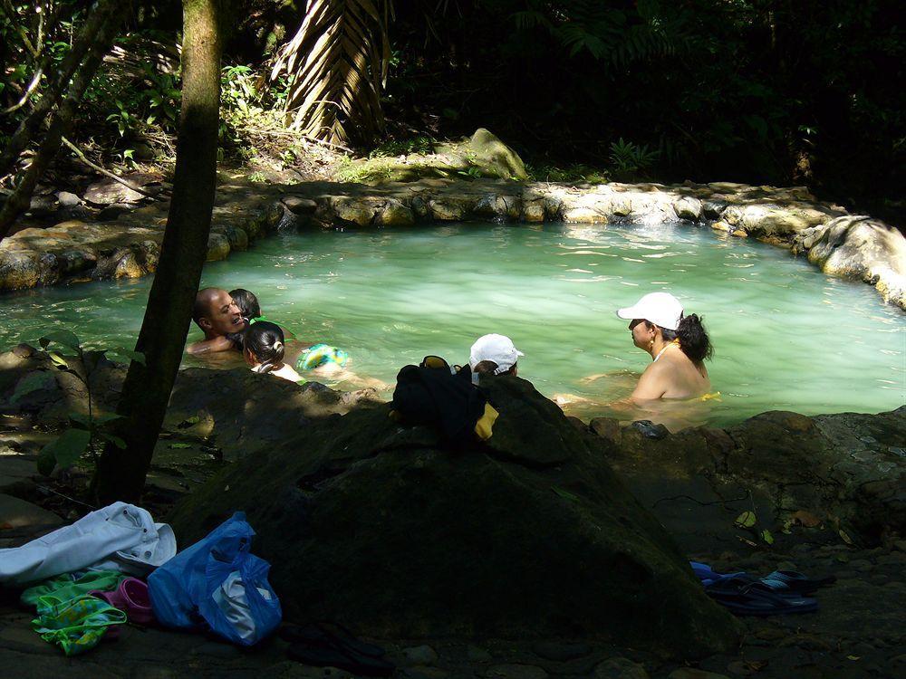 Termales Del Bosque & Hot Springs Hotel La Marina Екстериор снимка