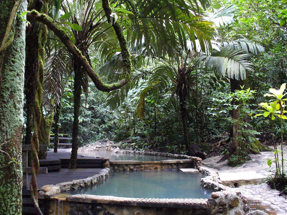 Termales Del Bosque & Hot Springs Hotel La Marina Екстериор снимка