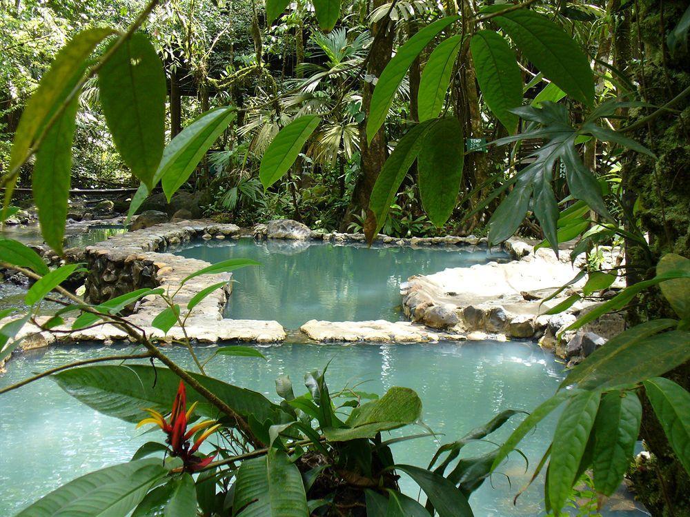 Termales Del Bosque & Hot Springs Hotel La Marina Екстериор снимка
