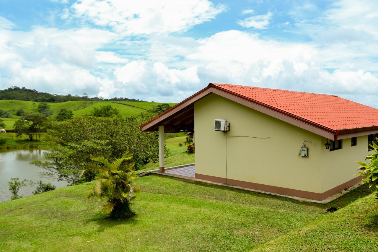 Termales Del Bosque & Hot Springs Hotel La Marina Екстериор снимка
