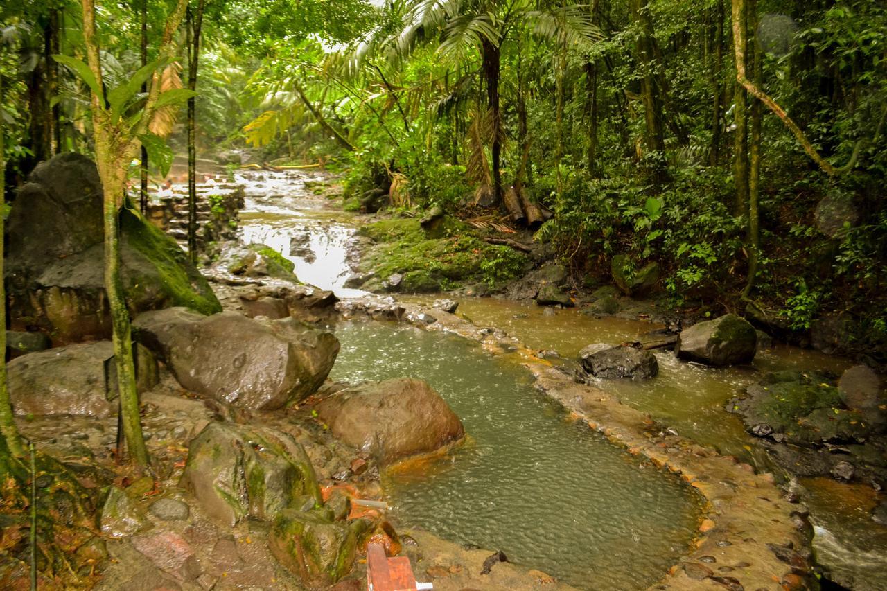 Termales Del Bosque & Hot Springs Hotel La Marina Екстериор снимка