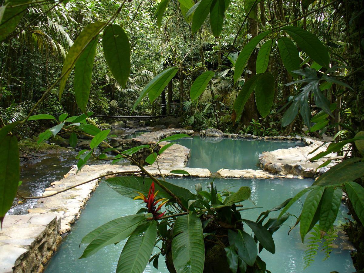 Termales Del Bosque & Hot Springs Hotel La Marina Екстериор снимка