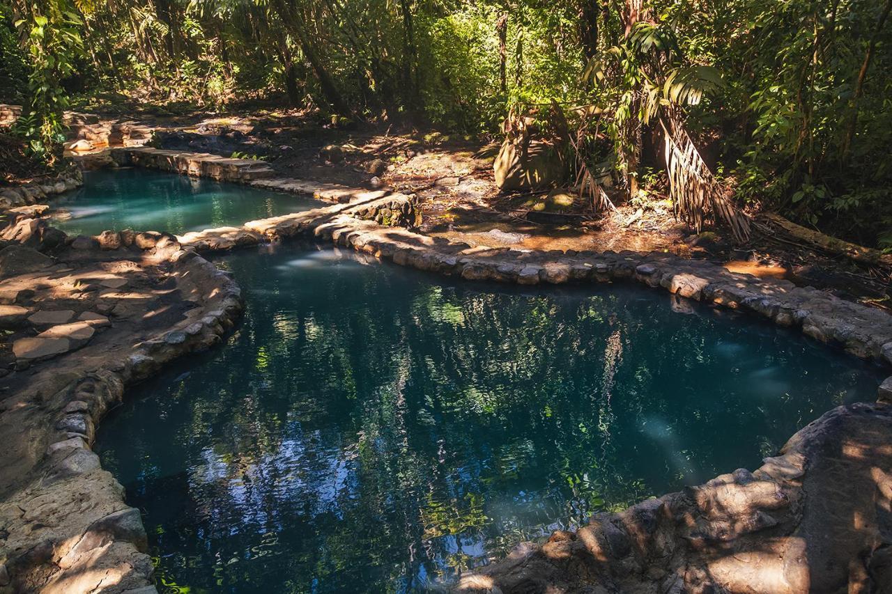 Termales Del Bosque & Hot Springs Hotel La Marina Екстериор снимка