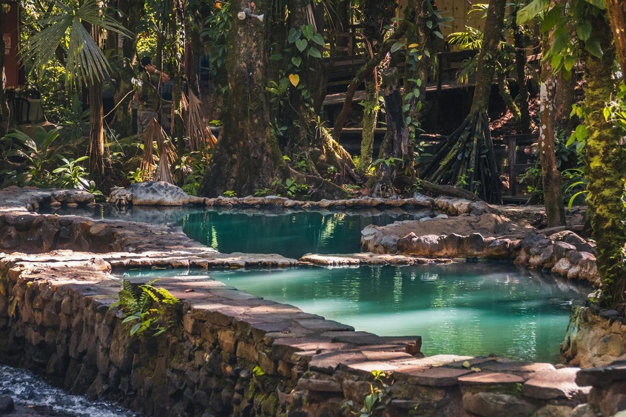 Termales Del Bosque & Hot Springs Hotel La Marina Екстериор снимка