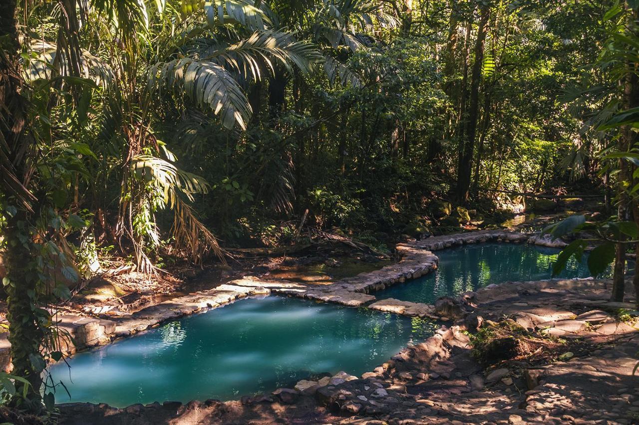 Termales Del Bosque & Hot Springs Hotel La Marina Екстериор снимка